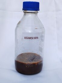Hindi Assam Boya Oil / Oud