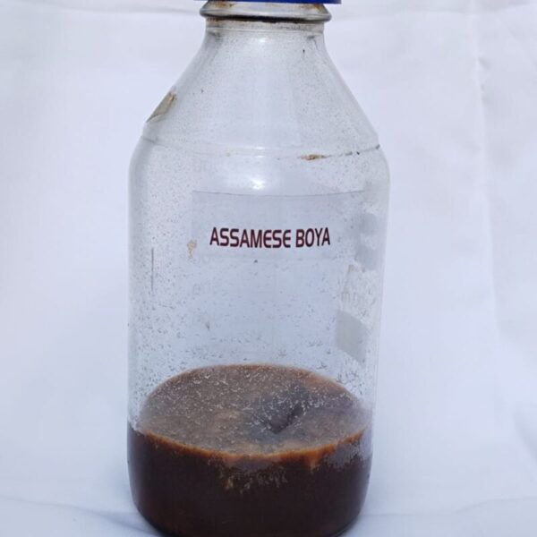 Hindi Assam Boya Oil / Oud