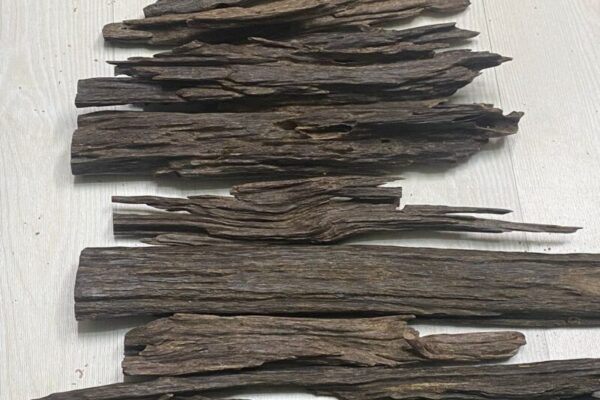 Nagaland Jura (Big Size)