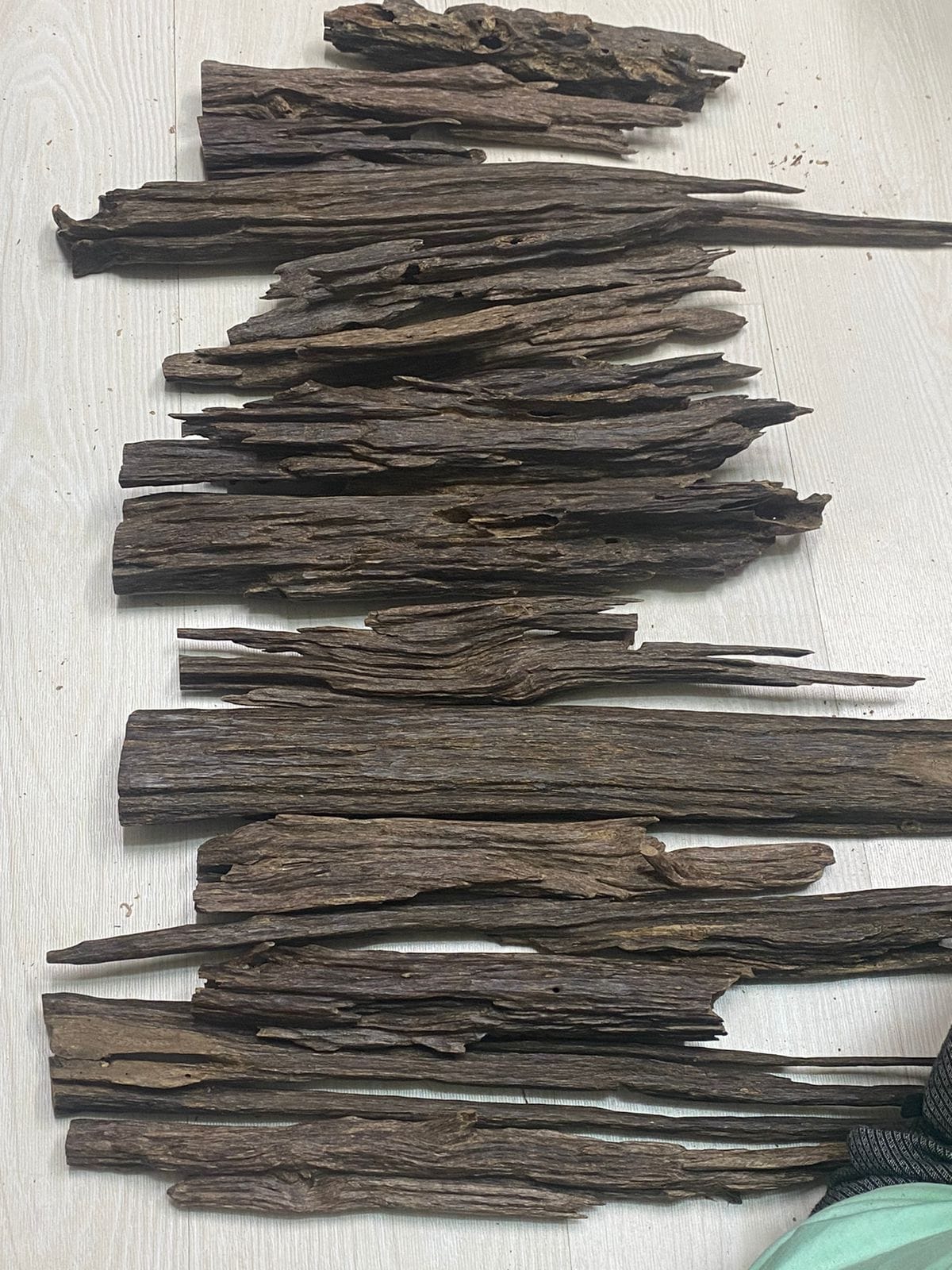 Nagaland Jura (Big Size)